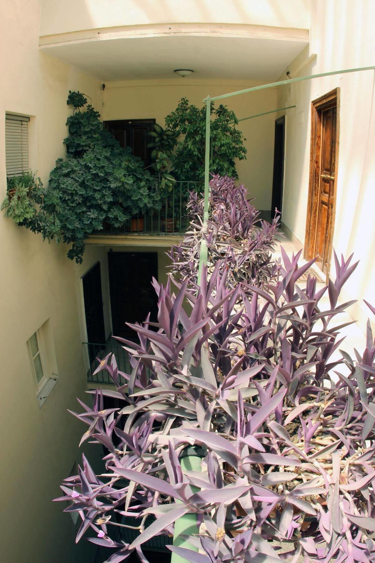 Ancient Romance Exterior foto